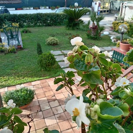 B&B villamariascauri Esterno foto